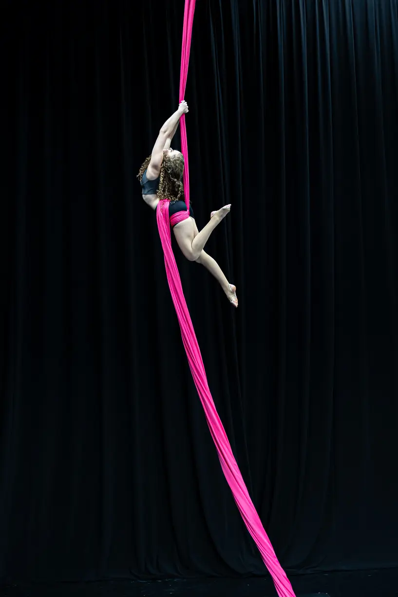 Paige Horil - Zig Zag